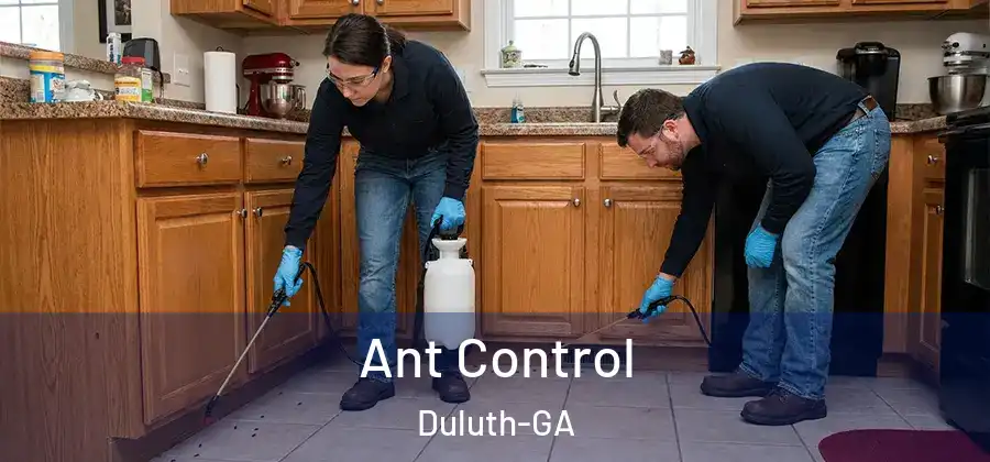Ant Control Duluth-GA