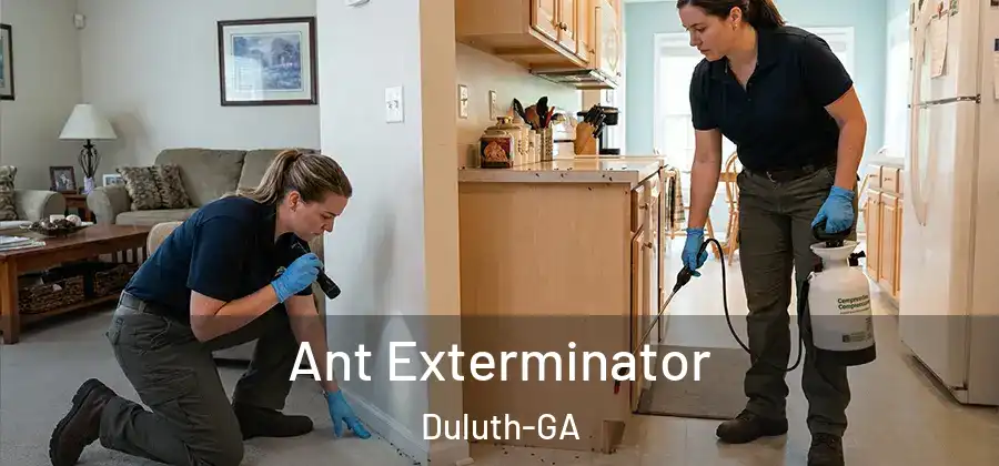 Ant Exterminator Duluth-GA