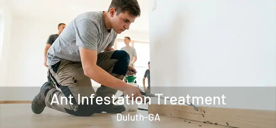  Ant Infestation Treatment Duluth-GA
