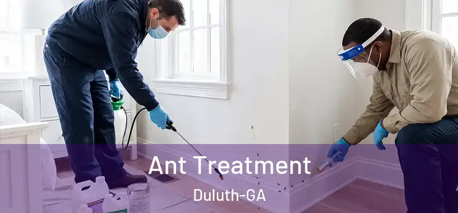 Ant Treatment Duluth-GA
