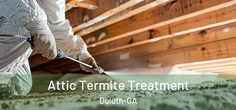 Attic Termite Treatment Duluth-GA