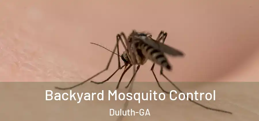 Backyard Mosquito Control Duluth-GA