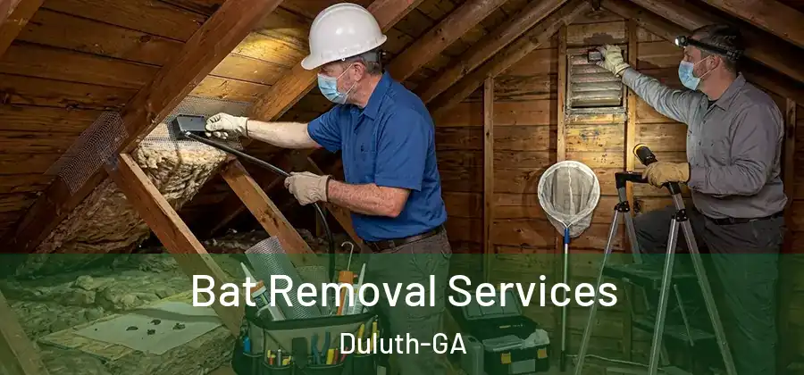 Bat Removal Services Duluth-GA