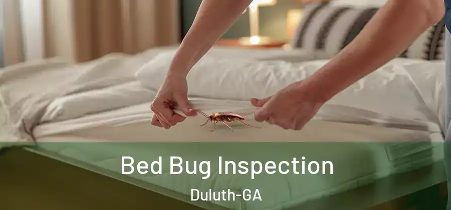 Bed Bug Inspection Duluth-GA