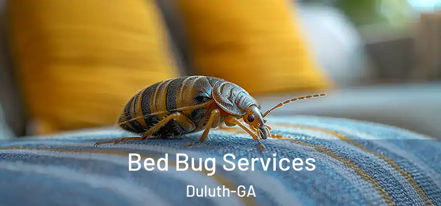 Bed Bug Services Duluth-GA