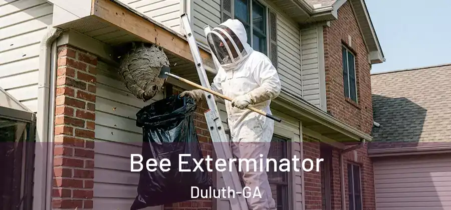 Bee Exterminator Duluth-GA