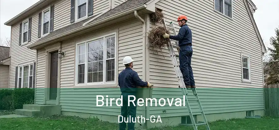 Bird Removal Duluth-GA