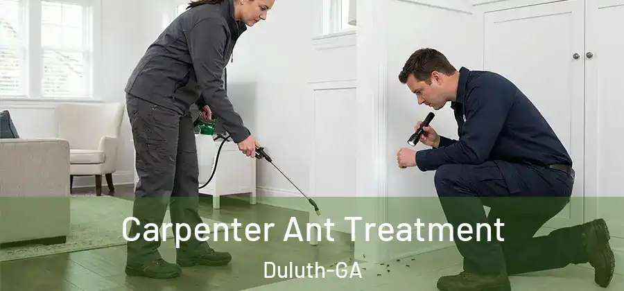 Carpenter Ant Treatment Duluth-GA