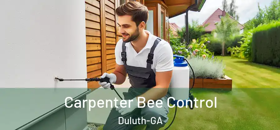 Carpenter Bee Control Duluth-GA
