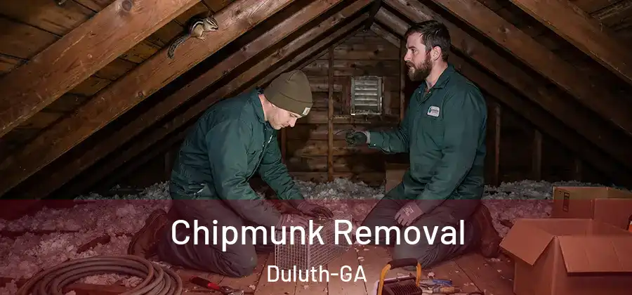 Chipmunk Removal Duluth-GA