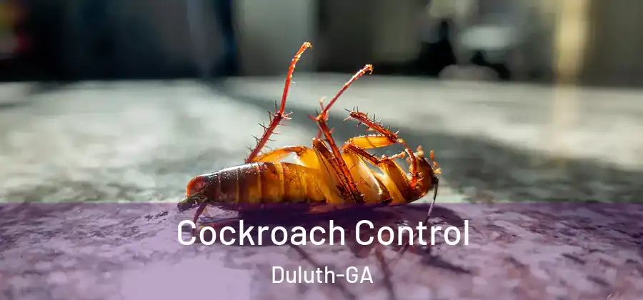 Cockroach Control Duluth-GA