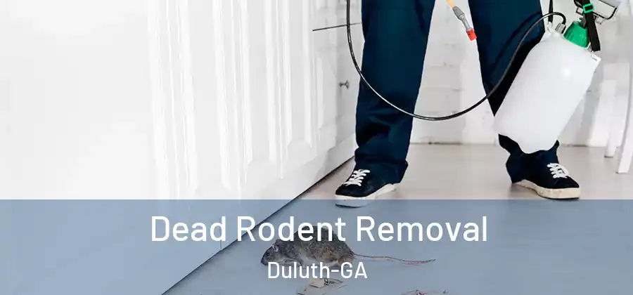 Dead Rodent Removal Duluth-GA