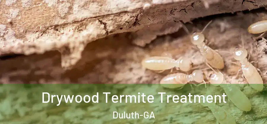  Drywood Termite Treatment Duluth-GA