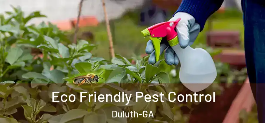 Eco Friendly Pest Control Duluth-GA