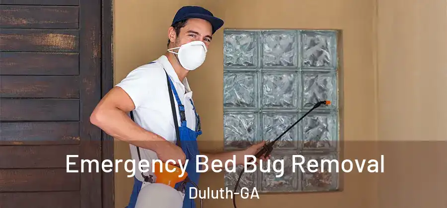 Emergency Bed Bug Removal Duluth-GA