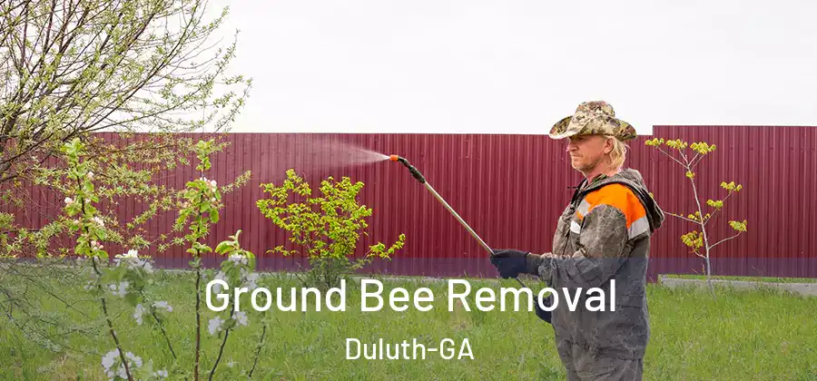 Ground Bee Removal Duluth-GA