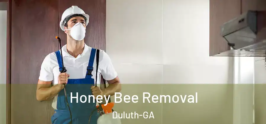 Honey Bee Removal Duluth-GA
