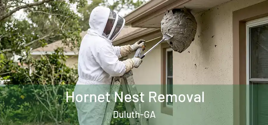 Hornet Nest Removal Duluth-GA