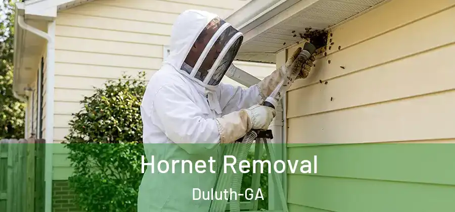 Hornet Removal Duluth-GA