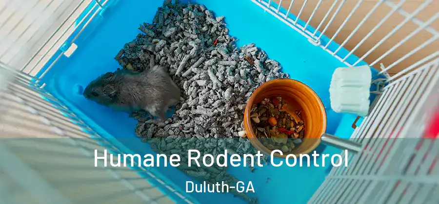 Humane Rodent Control Duluth-GA