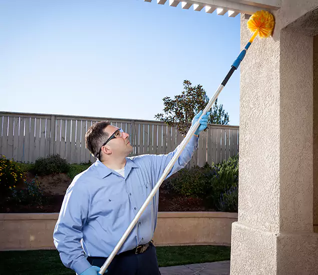 Trusted Experts in Duluth GA for Formosan Termite Treatment and Black Termite Control