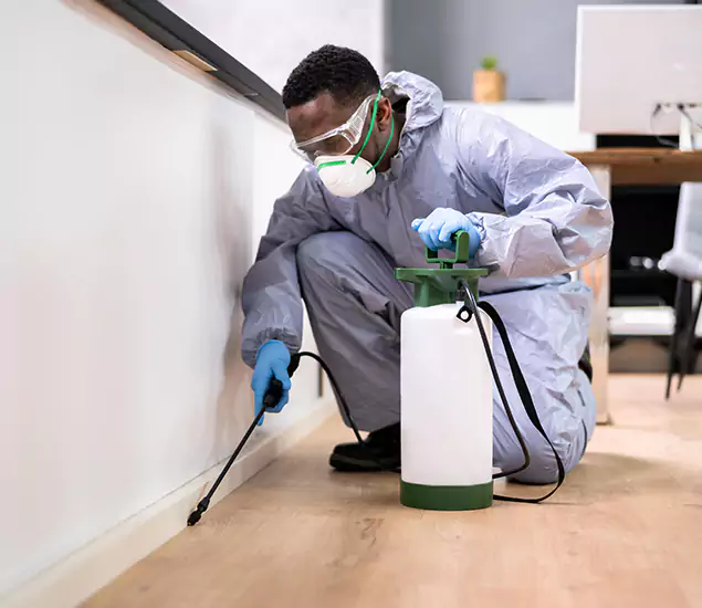 Leading Industrial Pest Control Experts Serving Duluth, GA