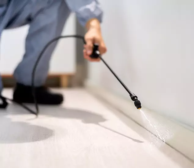About Our Liquid Termite Treatment Experts in Duluth, GA