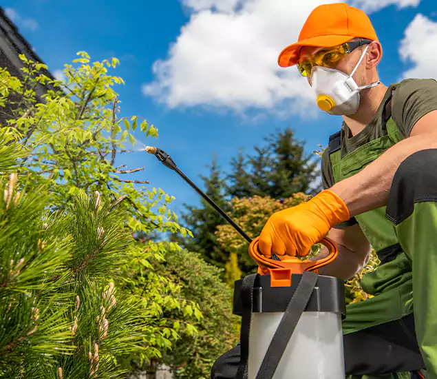 Your Mosquito Repellent Barrier Service in Duluth, GA