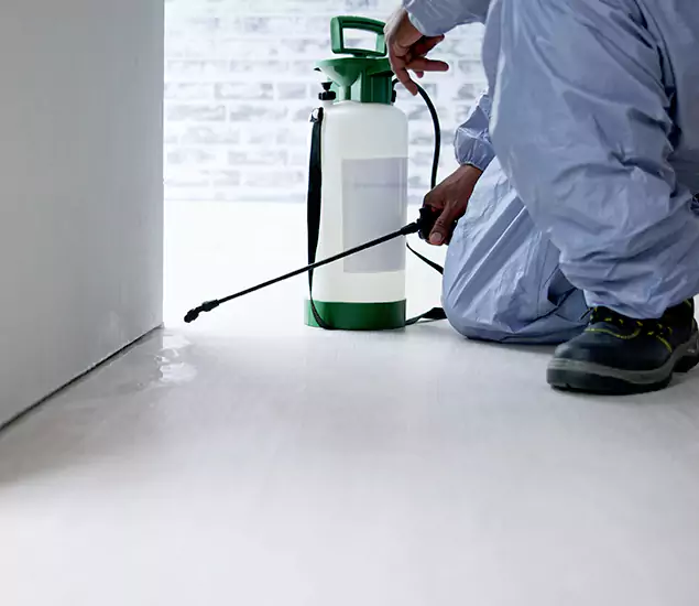 Affordable Pest Control Experts in Duluth, GA