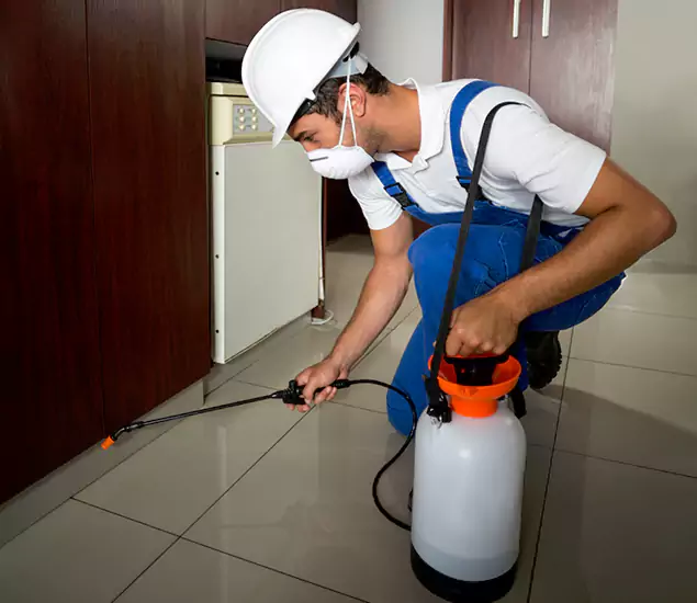 Advanced Termite Pre Treatment Experts in Duluth, GA