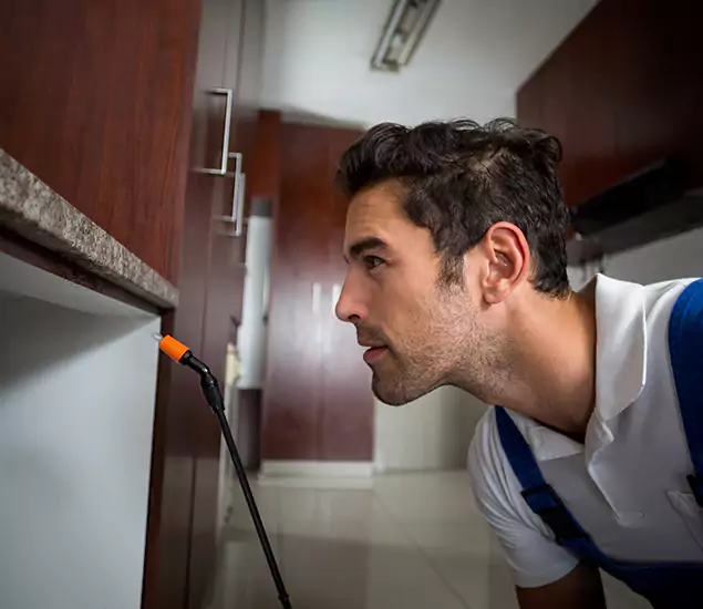 Termite Inspection Cost Experts You Can Trust in Duluth, GA