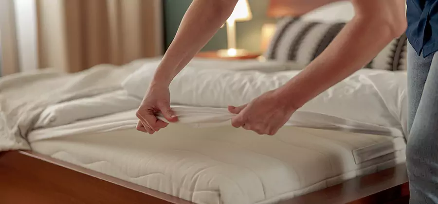 Bed Bug Extermination Services in Duluth