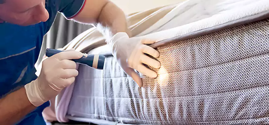 Residential Bed Bug Treatment Cost in Duluth