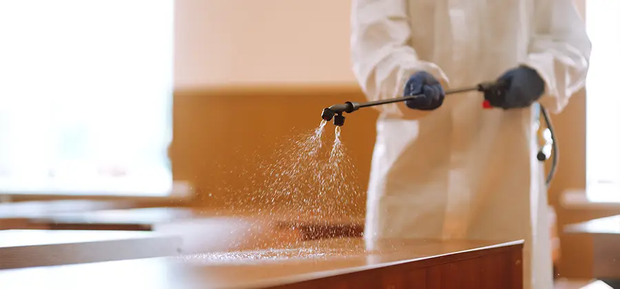 Residential Bed Bug Treatment Option in Duluth