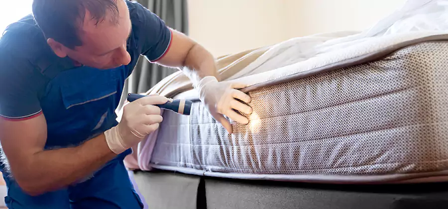 24 Hour Bed Bug Pest Control in Duluth