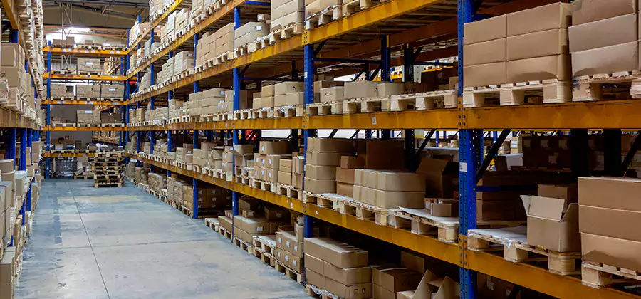 Warehouse Pest Control in Duluth