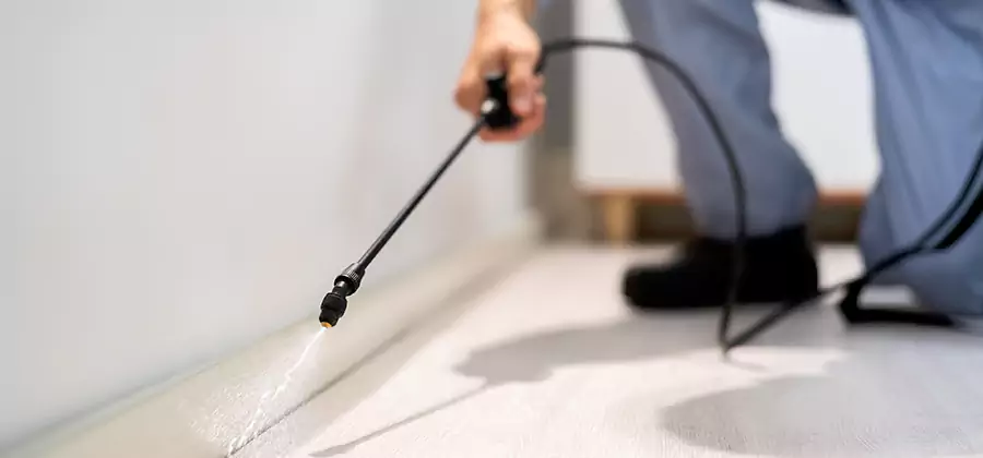 Direct Termite Injection Treatment in Duluth
