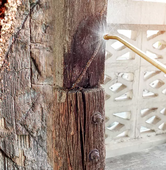 Why Choose Duluth Quality Pest Control for Attic Termite Treatment in Duluth, GA?
