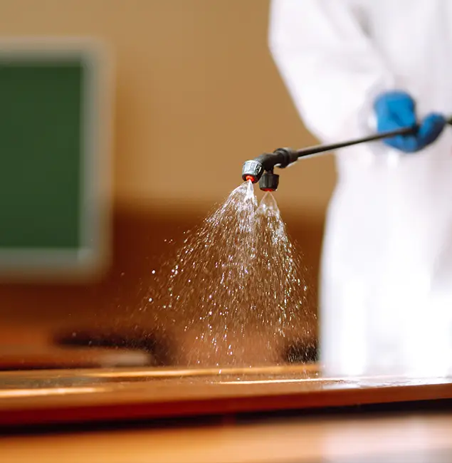 Why Choose Duluth Quality Pest Control for Bed Bug Chemical Treatment in Duluth, GA?
