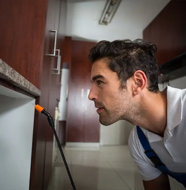 Why Choose Duluth Quality Pest Control for Bed Bug Removal Cost in Duluth, GA?