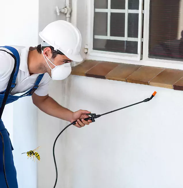 Why Duluth Property Owners Choose Duluth Quality Pest Control for Bee Nest Removal?