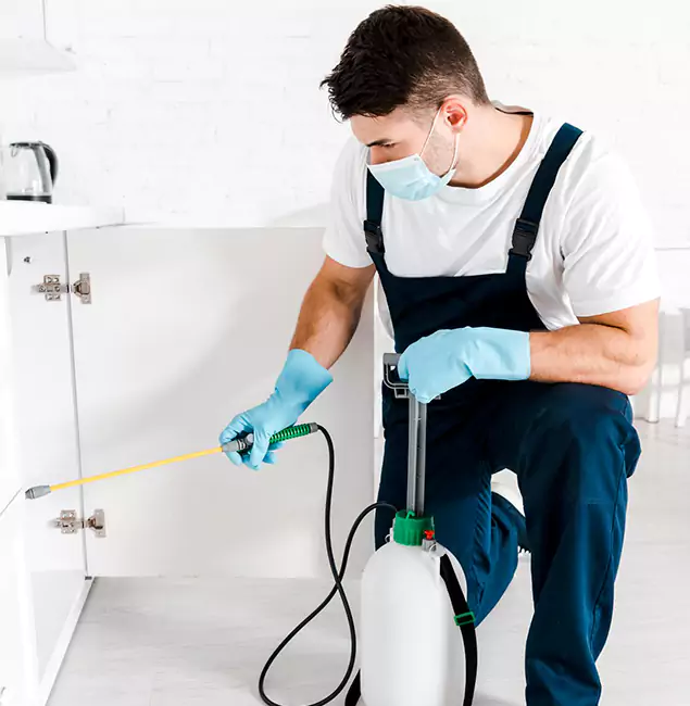 Why Choose Duluth Quality Pest Control for Emergency Pest Control in Duluth?