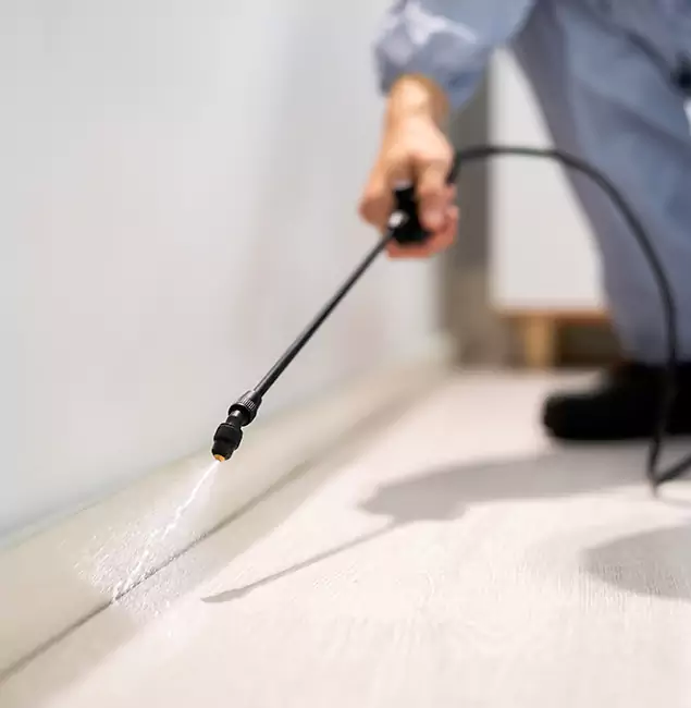 Why Choose Duluth Quality Pest Control for Termite Treatment in Duluth, GA?