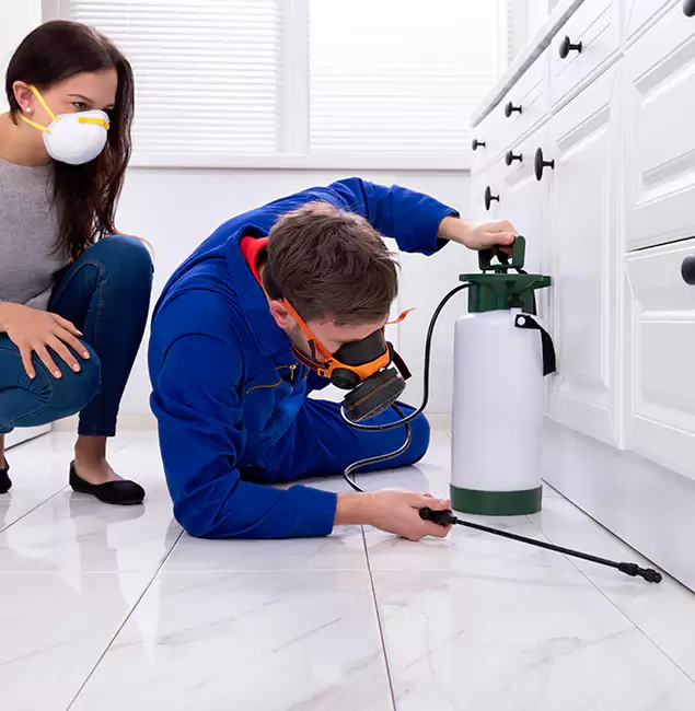 Why Duluth, GA Homeowners Trust Duluth Quality Pest Control for Roach Control?