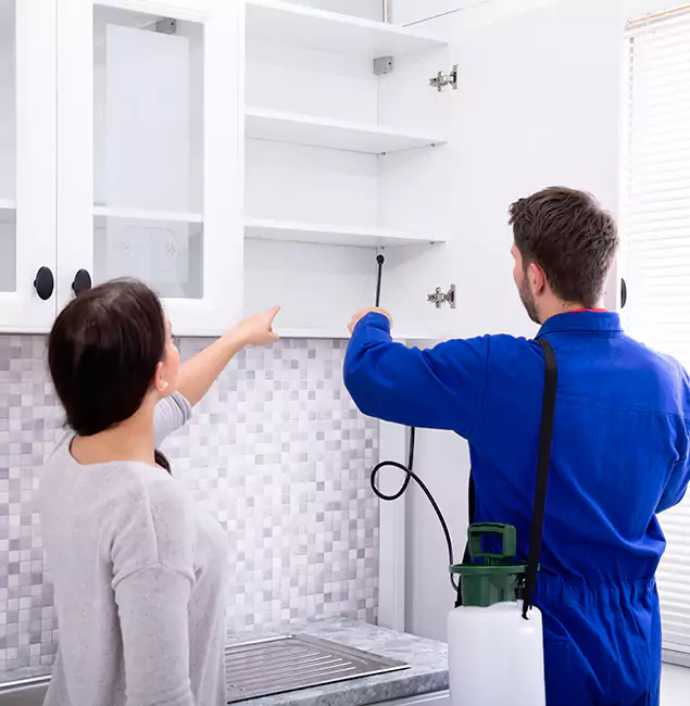 Why Duluth Property Owners Choose Duluth Quality Pest Control for Ground Bee Removal?