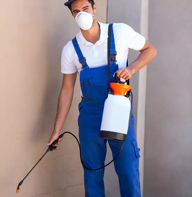 What Makes Duluth Quality Pest Control the Right Choice in Duluth, GA?