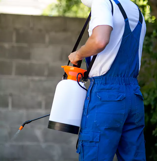 Why Duluth Homeowners Rely on Duluth Quality Pest Control for Mosquito Control?