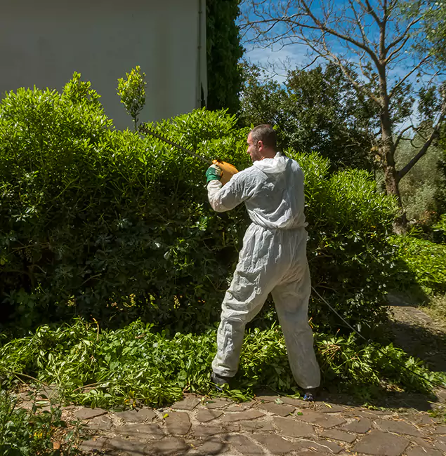 Why Duluth Quality Pest Control Leads Mosquito Control in Duluth, GA?