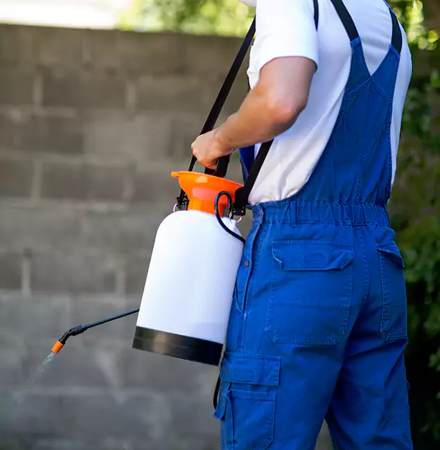 Why Duluth Quality Pest Control Delivers the Best Mosquito Control in Duluth, GA?