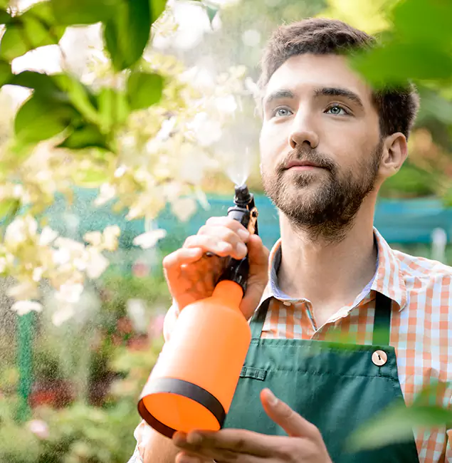 Why Duluth Homeowners Call Duluth Quality Pest Control for Mosquitoes in House?